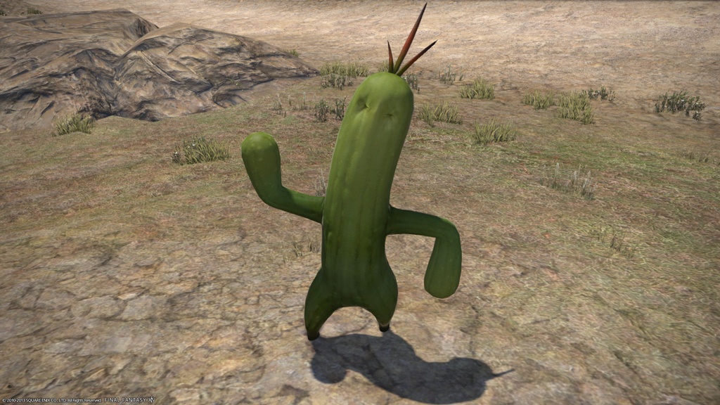 Gallery of Ff14 Cactus.