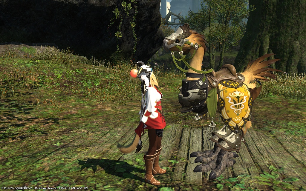 When do you get the default barding in final fantasy xiv? 