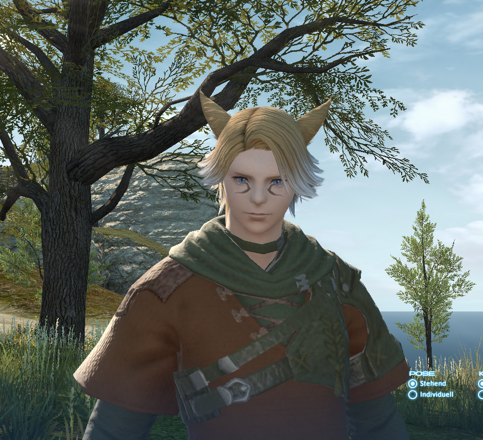 Ffxiv Styled For Hire Hairstyle - what hairstyle should i get