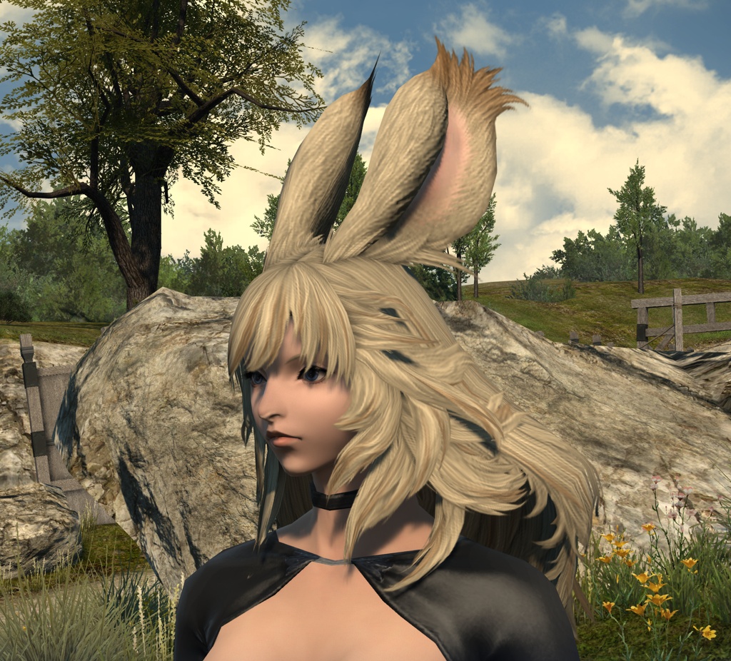 Lurue Lathander Blog Entry ヴィエラ髪型付属のヘアゴムは変更できるのだろうか Final Fantasy Xiv The Lodestone