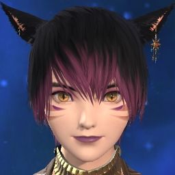 Solo Miqo'te