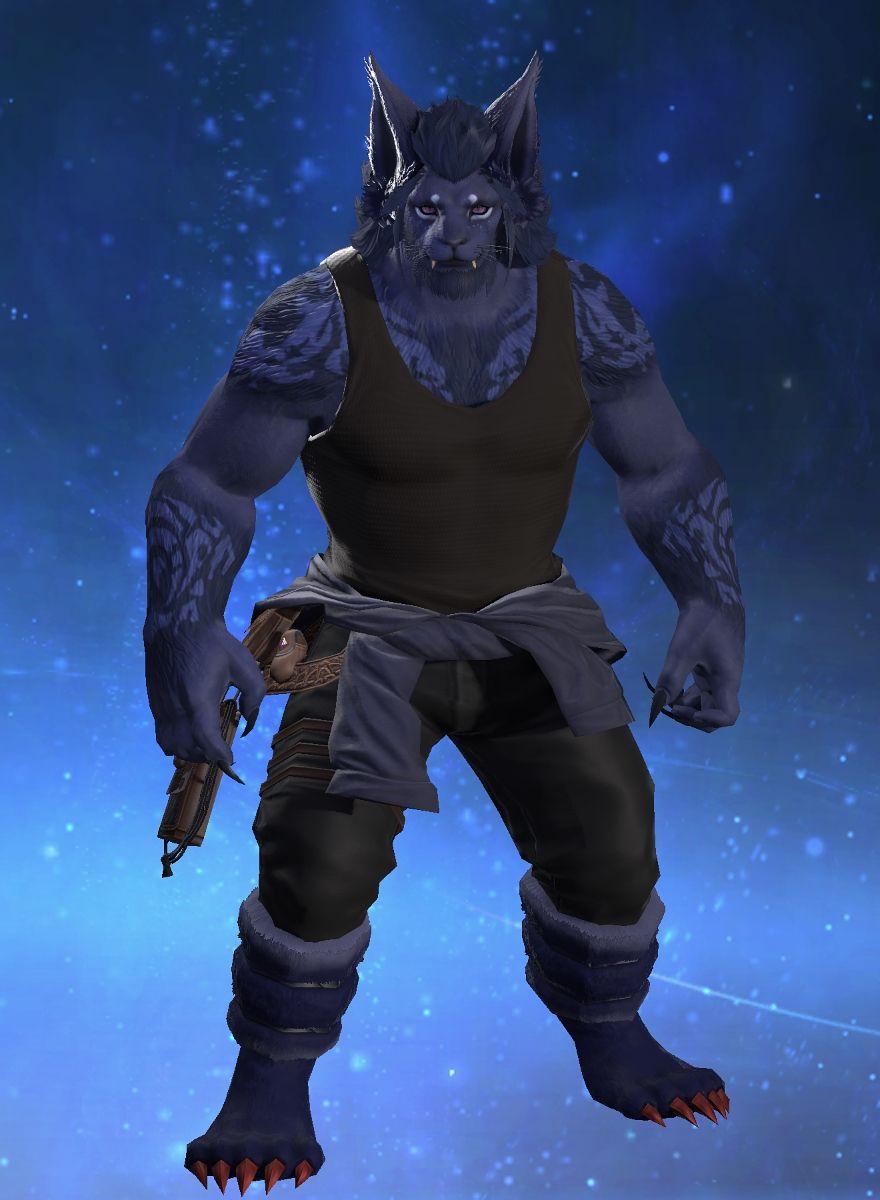 Hakuto Lunaris
