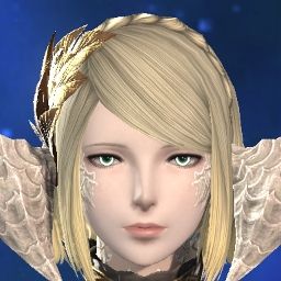 Rei Lucis-caelum