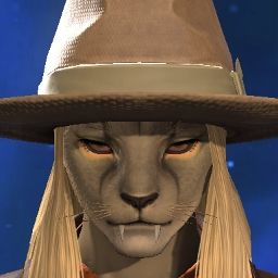 Meowdy Pawtner
