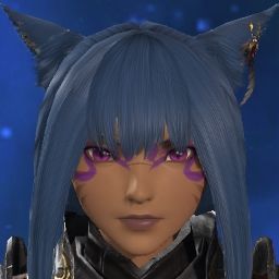 Cat Warrior