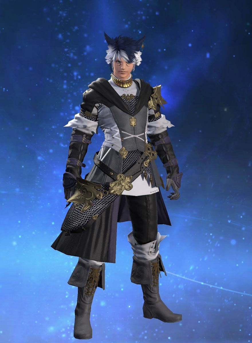Katze Winter