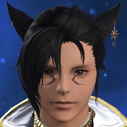 Bussy Cat