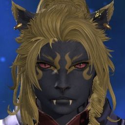 Wendyl Tailwind