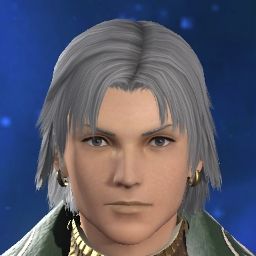Raiden Revengence