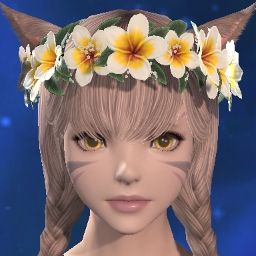 Nero Kat