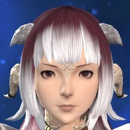 Kisaki Terune