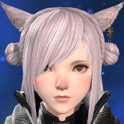 MetFl's Avatar