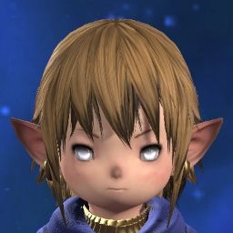 System Update