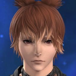 Haine Scholar