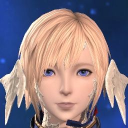 Nivalis Moco
