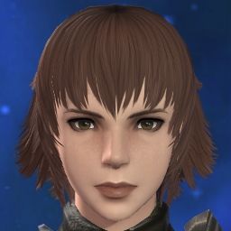 Budget Femroe