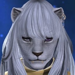 Snoa Kitty