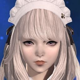 Lily Astraea