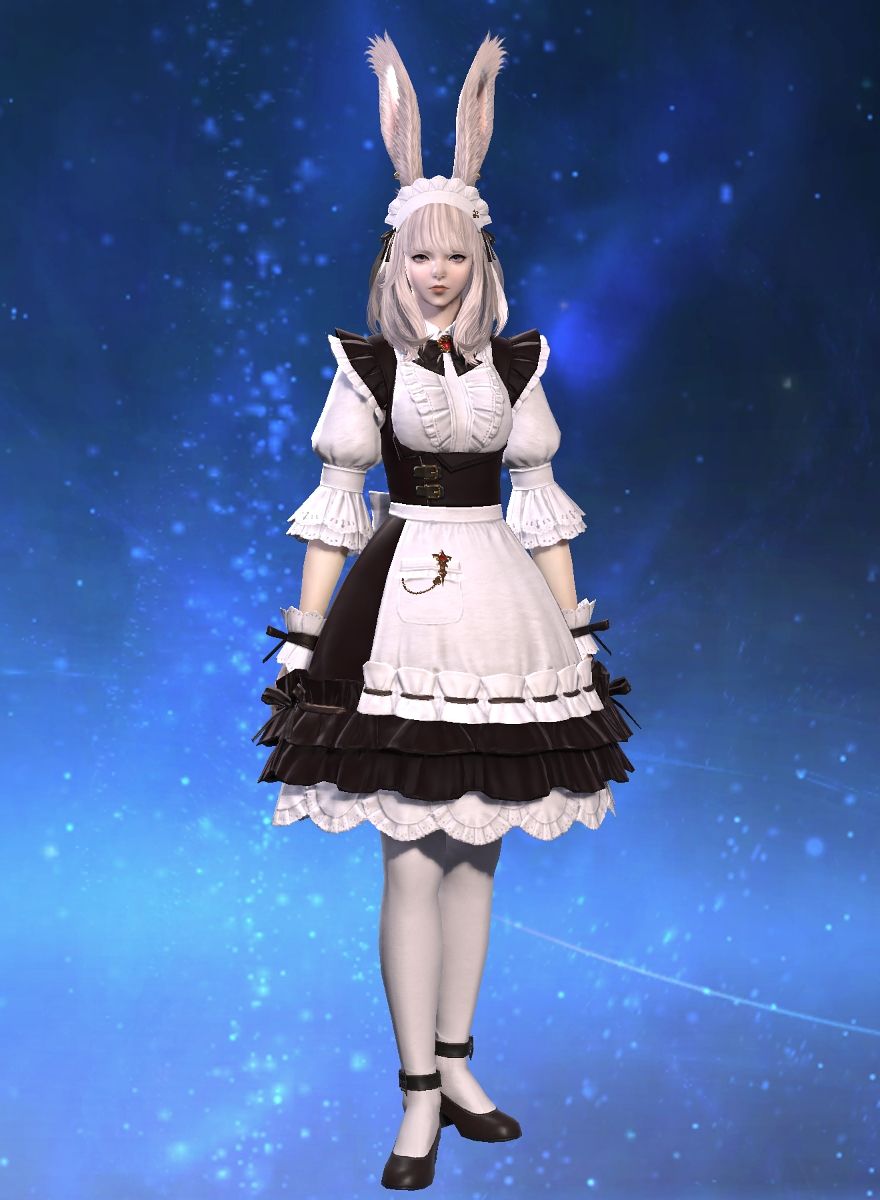 Lily Astraea