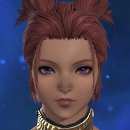 Donguri Yuusai