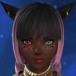 Euclidian Waifu