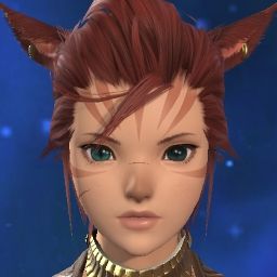 Your Kitten
