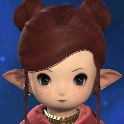 Secret Gnome