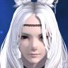 Rabit Suns