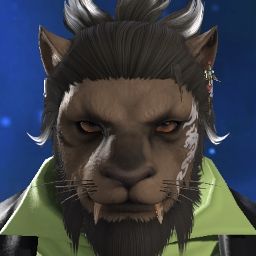 Bear Lucius