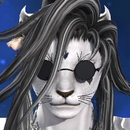 Usignola Cat