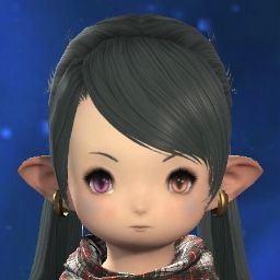 Mini Lisi
