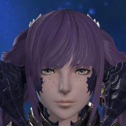 Clades Blacklily