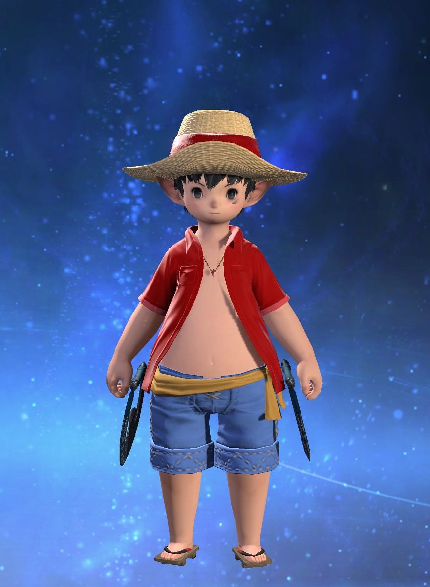 Smol'hat Luffy