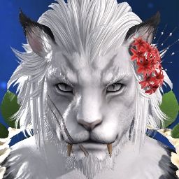 Pachy's Avatar