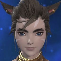 Eyebrow Cat