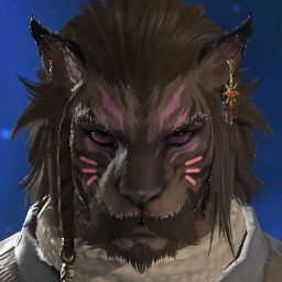 Cutie Cat