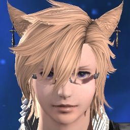 Aiwu Catboy