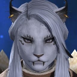 Misz Kitty