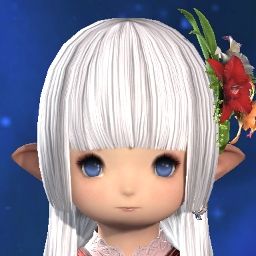 Noe Agrias