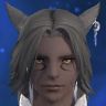 Leon-s Kattendey