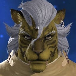 Not Wolf