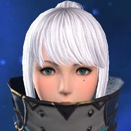 Noir Nieve