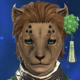 Neko'gato Kitsune