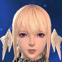 Nier Replic