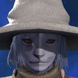 Macha-the- Cat