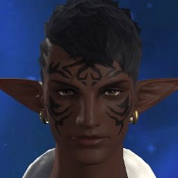 Warden Davrin