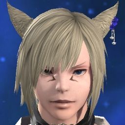 Noin Vulpes
