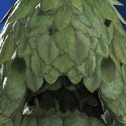TheSecretBear's Avatar
