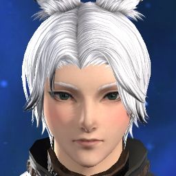 Daucus Grim