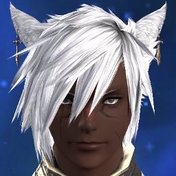 Combative Miqo'te